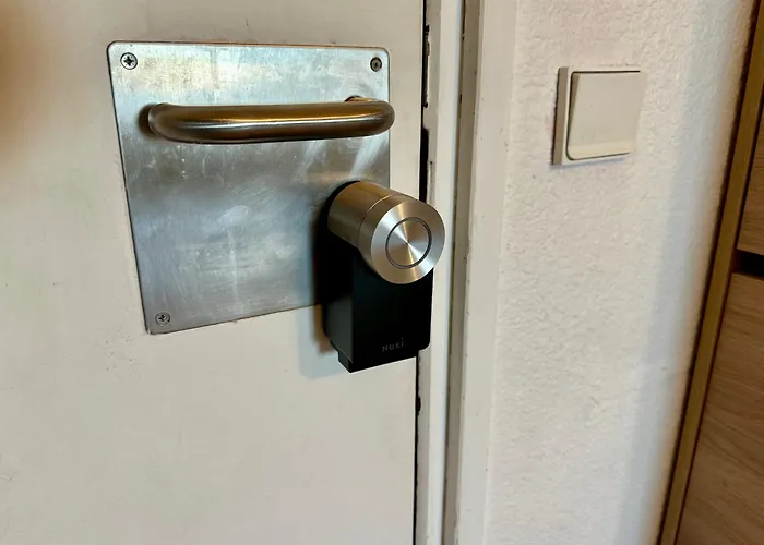 Le Paquebot Des Neiges